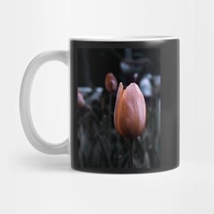 Beautiful Tulipan - macro photography Mug